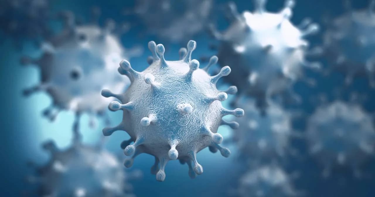 จ.เชียงใหม่ ห้ามขายเหล้า 10-20 เม.ย. 64 ป้องกันโควิด-19 ระบาดสงกรานต์ ล่าสุด สั่งปิด 2 ร้านดัง