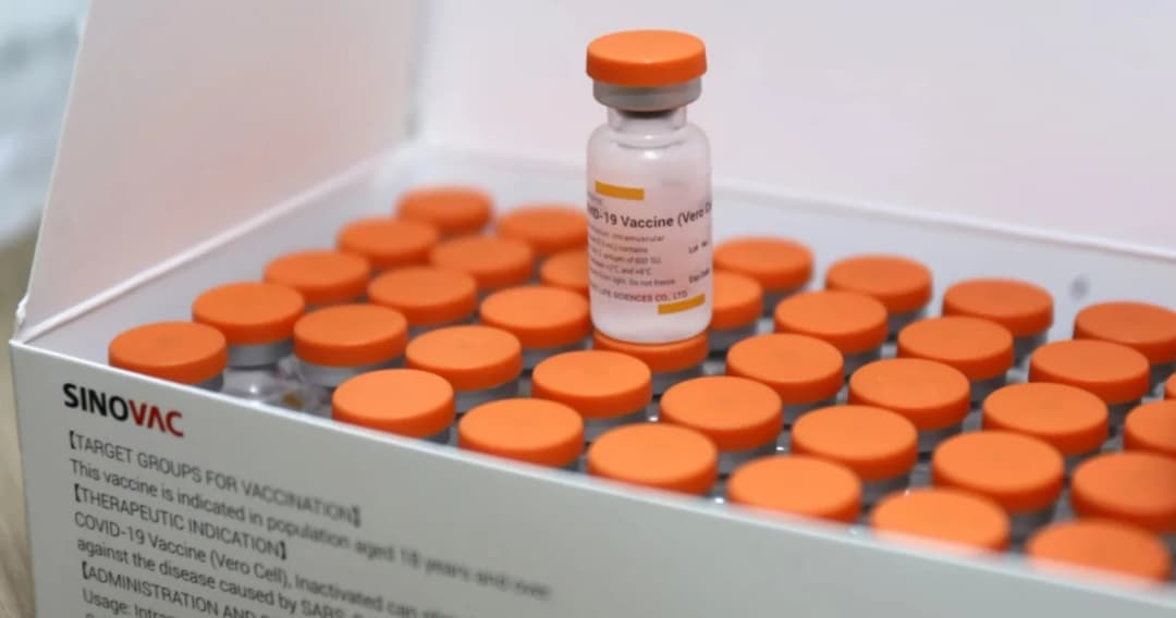 สรุปสิ่งที่ควรรู้เกี่ยวกับวัคซีนซิโนแวค