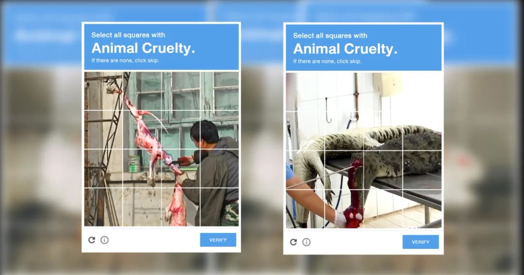 PETA ประเทศไทยเปลี่ยนการยืนยันระบบผู้ใช้งานทางออนไลน์ เป็นการสร้างการรับรู้เรื่องการทารุณกรรมสัตว์