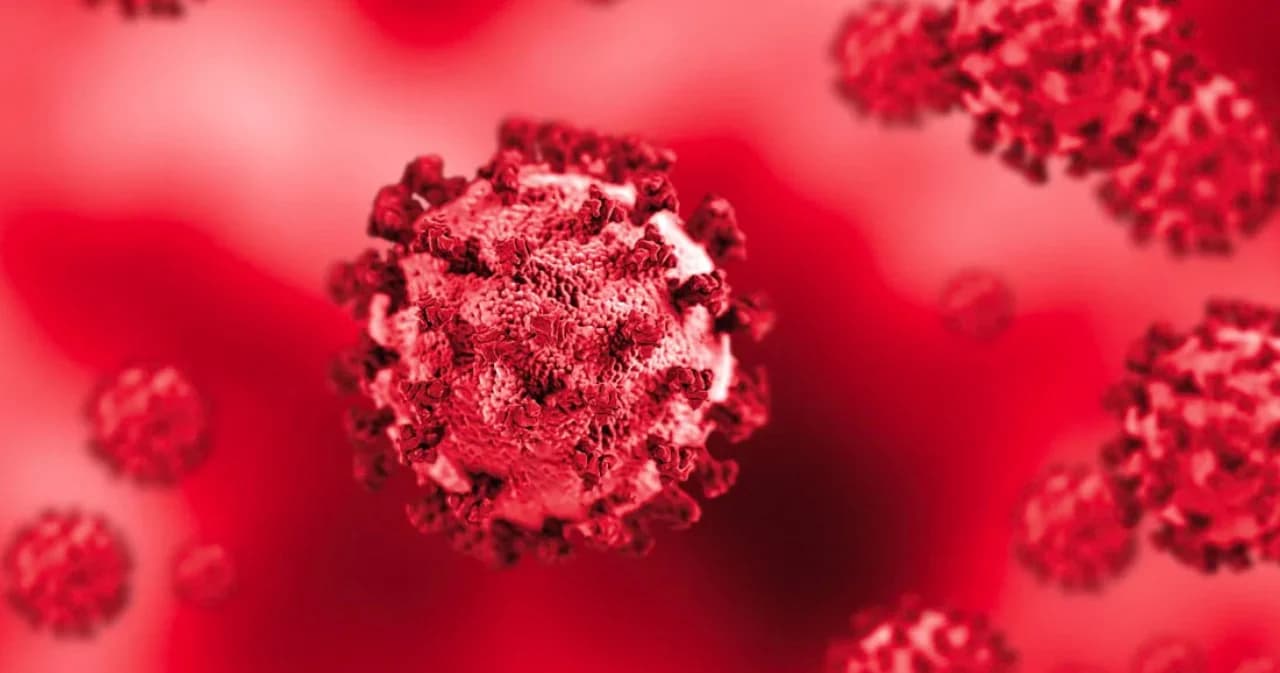 ผู้ว่าฯ ราชบุรี สั่งปิดโรงงานบะหมี่กึ่งสำเร็จรูป 14 วัน หลังคนงานติดโควิด-19 ถึง 28 ราย