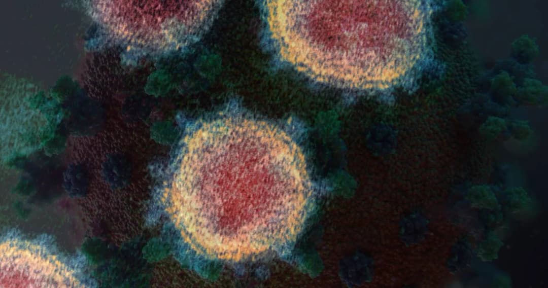 คาด ไม่เกิน 2-3 เดือน โควิด-19 สายพันธุ์อินเดีย ระบาดในไทยแทนสายพันธุ์อังกฤษ