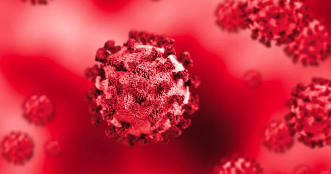 รู้จักโควิด-19 สายพันธุ์เดลตา ระบาดง่ายกว่าสายพันธุ์อังกฤษ