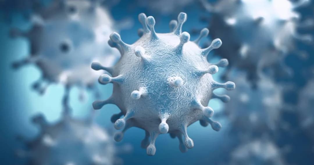 แม่สอด จ.ตาก ติดเชื้อพุ่ง 452 คน วอนคนในพื้นที่จับตาคนแปลกหน้าเข้าพื้นที่ให้กักตัว 14 วัน