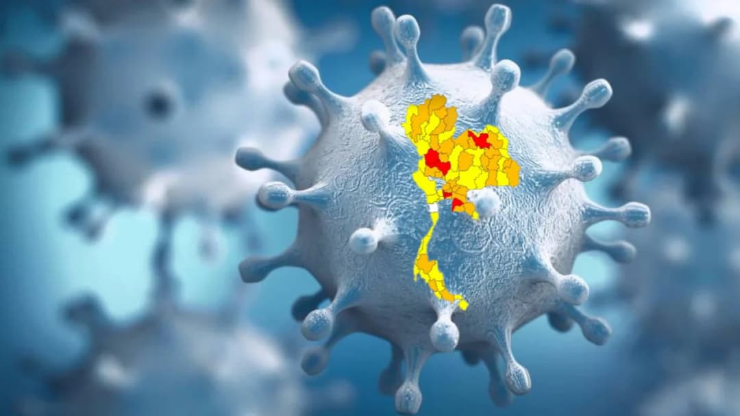 กรมวิทย์ฯ พบสายพันธุ์เดลตาระบาด 71 จังหวัด ส่วน กทม. เจอหนักถึง 77% หวั่นหากผติดเชื้อสูงต่อเนื่องอาจมีการกลายพันธุ์ไวรัสอีก