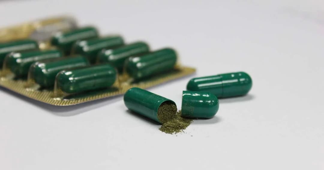 กมธ.สาธารณสุข เตรียมชงควบคุมราคา ฟ้าทะลายโจร หลังพบสินค้าราคาเกินจริง ของปลอมเกลื่อน