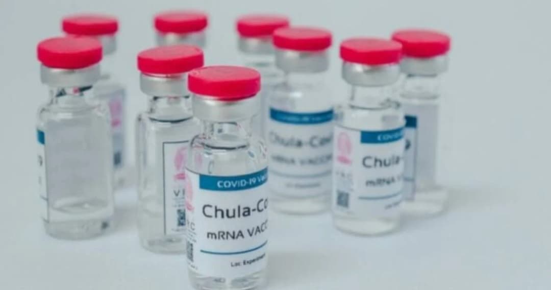 จุฬาฯ เปิดรับอาสาสมัคร ฉีดวัคซีน ChulaCov19 mRNA กลุ่มสูงวัยเพิ่ม พร้อมฉีดปลายเดือนนี้