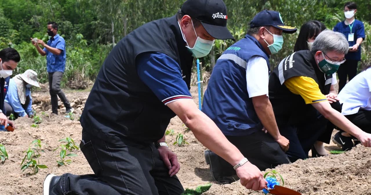 อนุทิน เปิดโครงการปลูกฟ้าทะลายโจร ปั้นเป็นพืชเศรษฐกิจในอนาคต ช่วยเกษตรกรสร้างรายได้