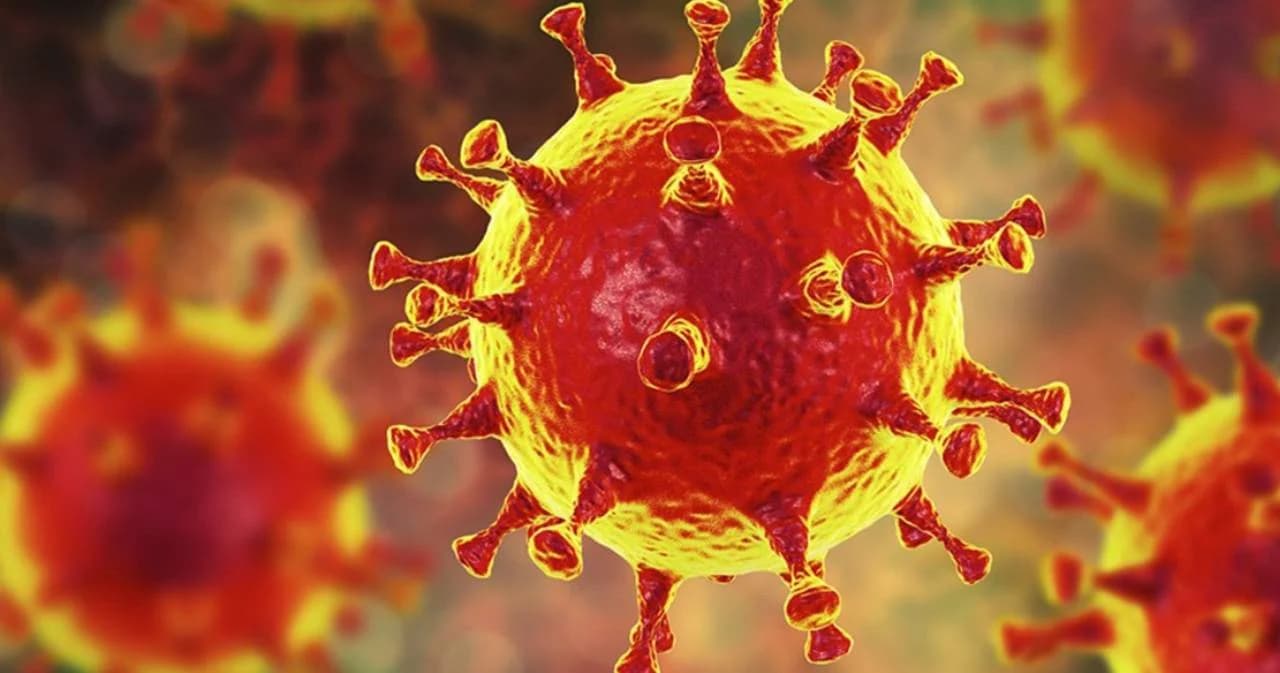 ไทย พบ ผู้ป่วยโควิด-19 รายใหม่ 19,014 ราย เสียชีวิต 233 ราย