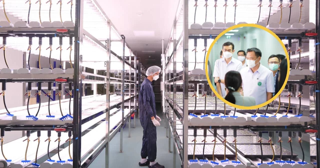 ‘อนุทิน’ ตรวจเยี่ยมโรงงานต้นแบบวัคซีนโควิด ‘จุฬาฯ-ใบยา’ เริ่มทดสอบในคนเฟส 1 ต้นกันยายนนี้