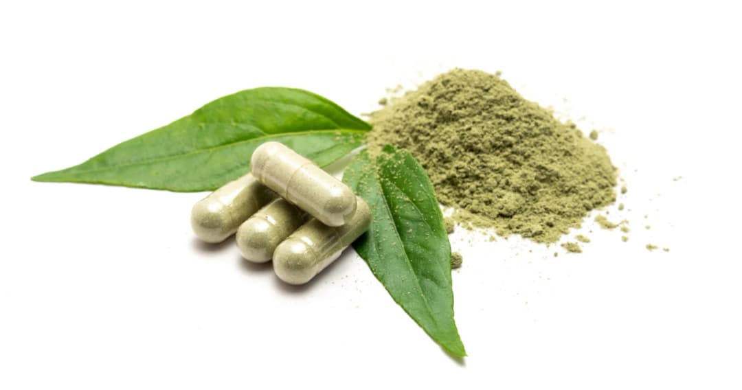 กรมการแพทย์แผนไทยฯ เตือน กินฟ้าทะลายโจรผิดวิธี ไม่ได้มาตรฐาน เสี่ยงอันตราย