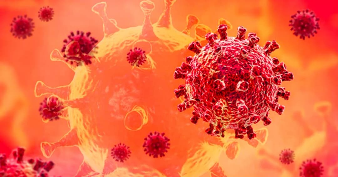 อธิบดีกรมวิทยาศาสตร์ฯ ยันยังไม่พบโควิดสายพันธุ์ C.1.2 ในไทย