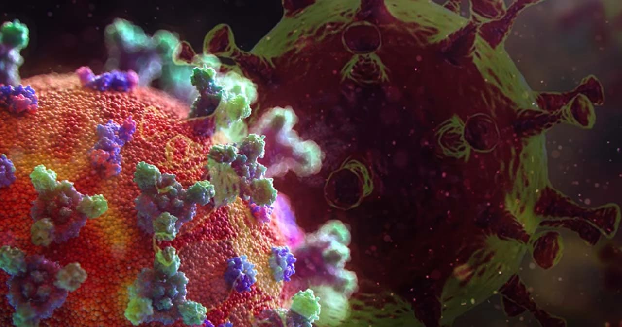 สรุปสถานการณ์ โควิด-19 ประเทศไทย เดือนสิงหาคม 2564