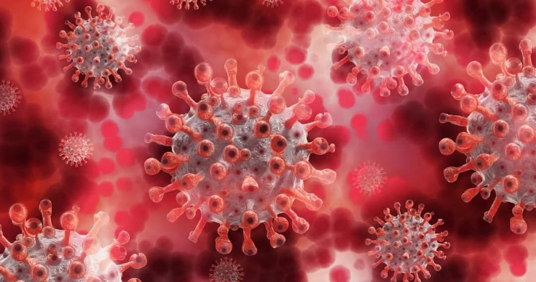 สธ. ยัน ไทยยังไม่พบ โควิด-19 สายพันธุ์ C.1.2