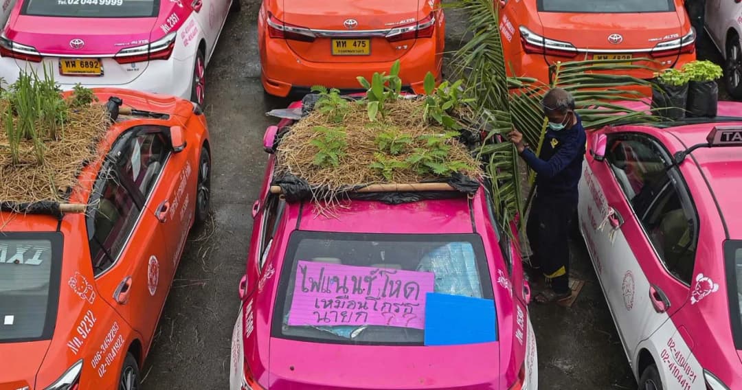 ไปต่อไม่ไหว จาก ‘แท็กซี่’ เลยต้องกลายเป็นแปลงผัก-เลี้ยงกบ