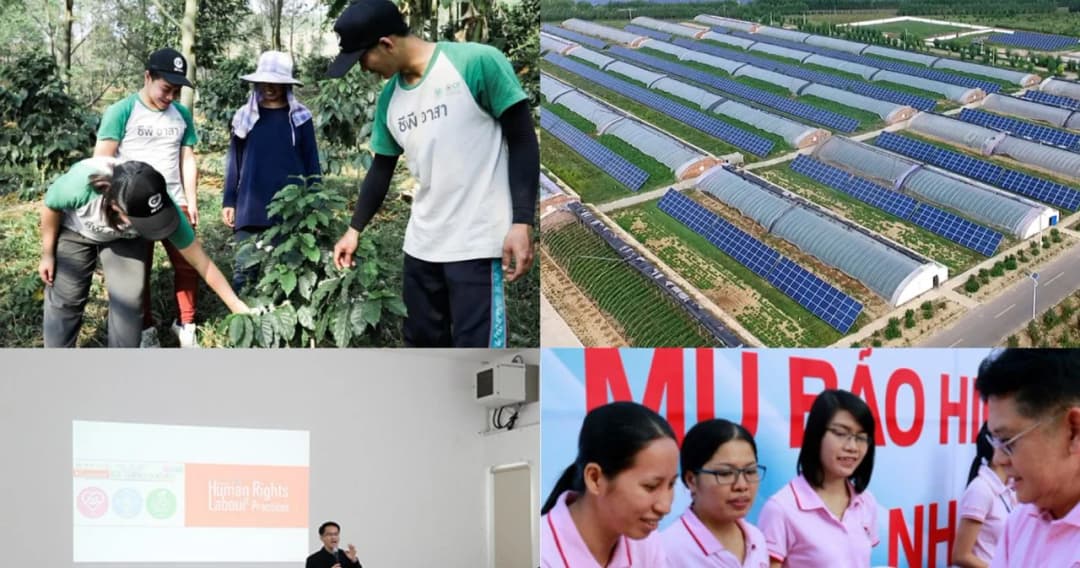 เครือเจริญโภคภัณฑ์ ได้รับคัดเลือกจาก United Nations Global Compact เป็นองค์กรระดับ LEAD