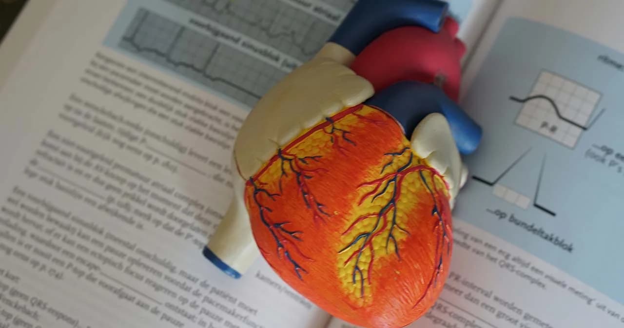 แพทย์จุฬาฯ เผยพบเด็กเกิดอาการกล้ามเนื้อหัวใจอักเสบหลังฉีดวัคซีน mRNA เพิ่มขึ้น