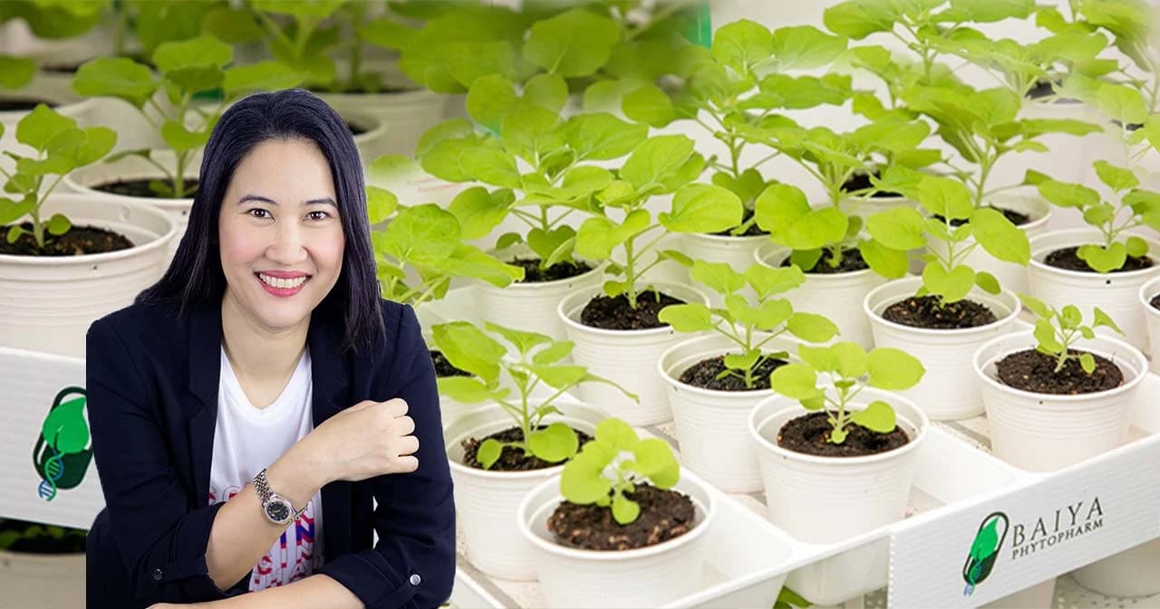 วัคซีน ‘ใบยาซาร์สโควีทูแวกซ์1’ ทางเลือกวัคซีนโควิด-19