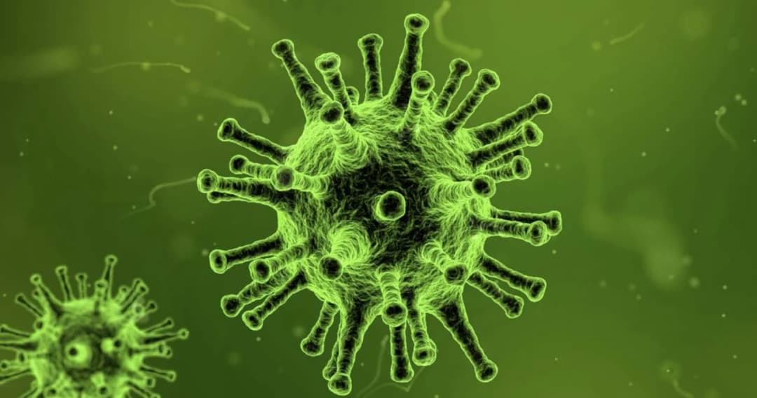 เปิดรายละเอียดผู้เสียชีวิตจากโควิด พบเด็กอายุ 5 ปี มีโรคประจำตัว ขณะที่ กทม.ยอดสูงสุด 11 ราย