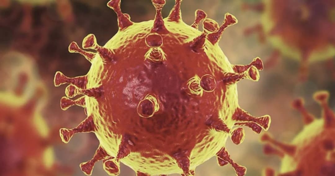 ไทยพบผู้ป่วยโควิด-19 สายพันธุ์ ‘เดลต้าพลัส’ 1 ราย รักษาหายแล้ว สธ. ระบุ WHO ยังไม่ยกระดับ