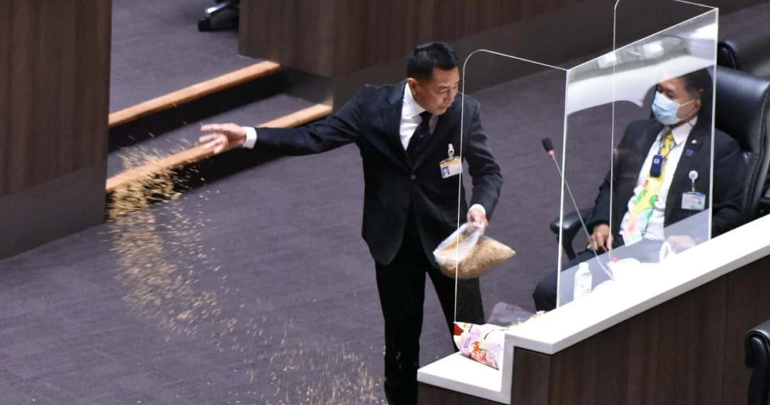 ส.ส.พิเชษฐ์ พรรคเพื่อไทย หว่านข้าวในสภา ประท้วงรัฐบาลไม่มาตอบกระทู้สด