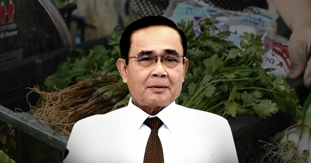 รวมไอเดีย 7 ปี แก้ปัญหาราคาพืชผลเกษตร