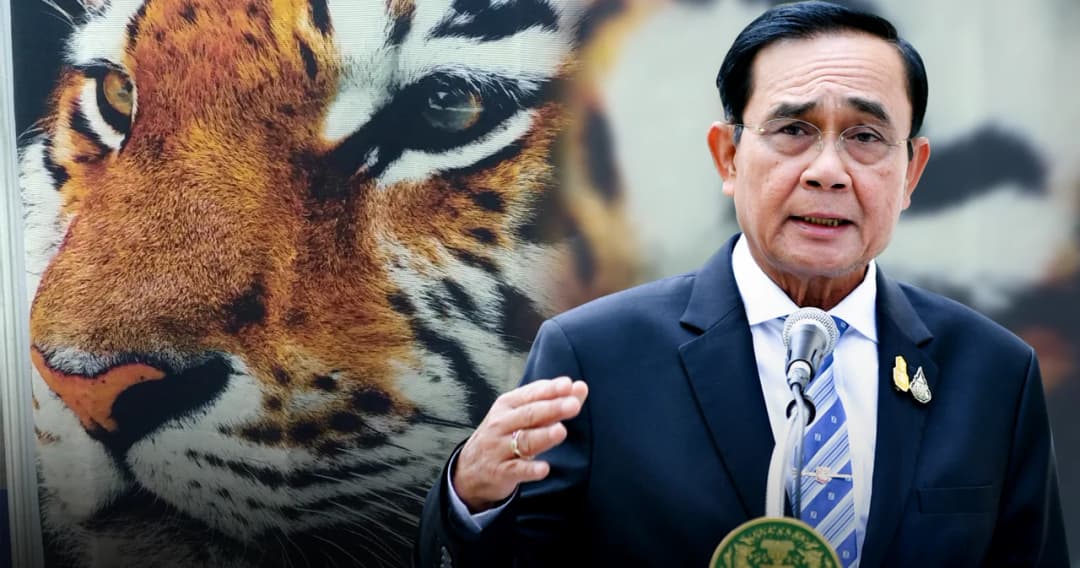 นายกฯ ขอซื้อรูปเสือจากบูธสถานทูตฝรั่งเศสในงานวิทยาศาสตร์ฯ บอกภูมิใจเป็น ‘ทหารเสือราชินี’