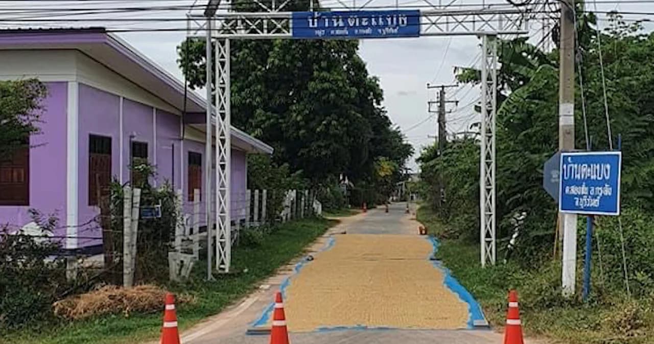 ญาติผู้ใหญ่บ้านตากข้าวเปลือก ปิดทางเข้าหมู่บ้าน อ้าง รู้เท่าไม่ถึงการณ์ กรมทางหลวงย้ำ ผิดกฎหมาย