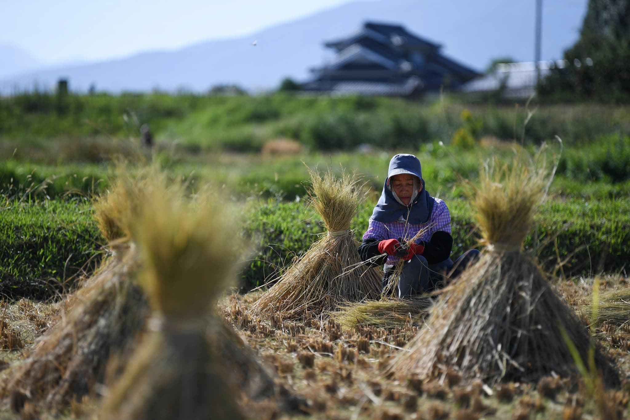 ญี่ปุ่นเล็งแก้กฎหมาย ดึงดูดแรงงานต่างชาติเพิ่ม อยู่ในประเทศได้เรื่อยๆ ไม่มีกำหนด
