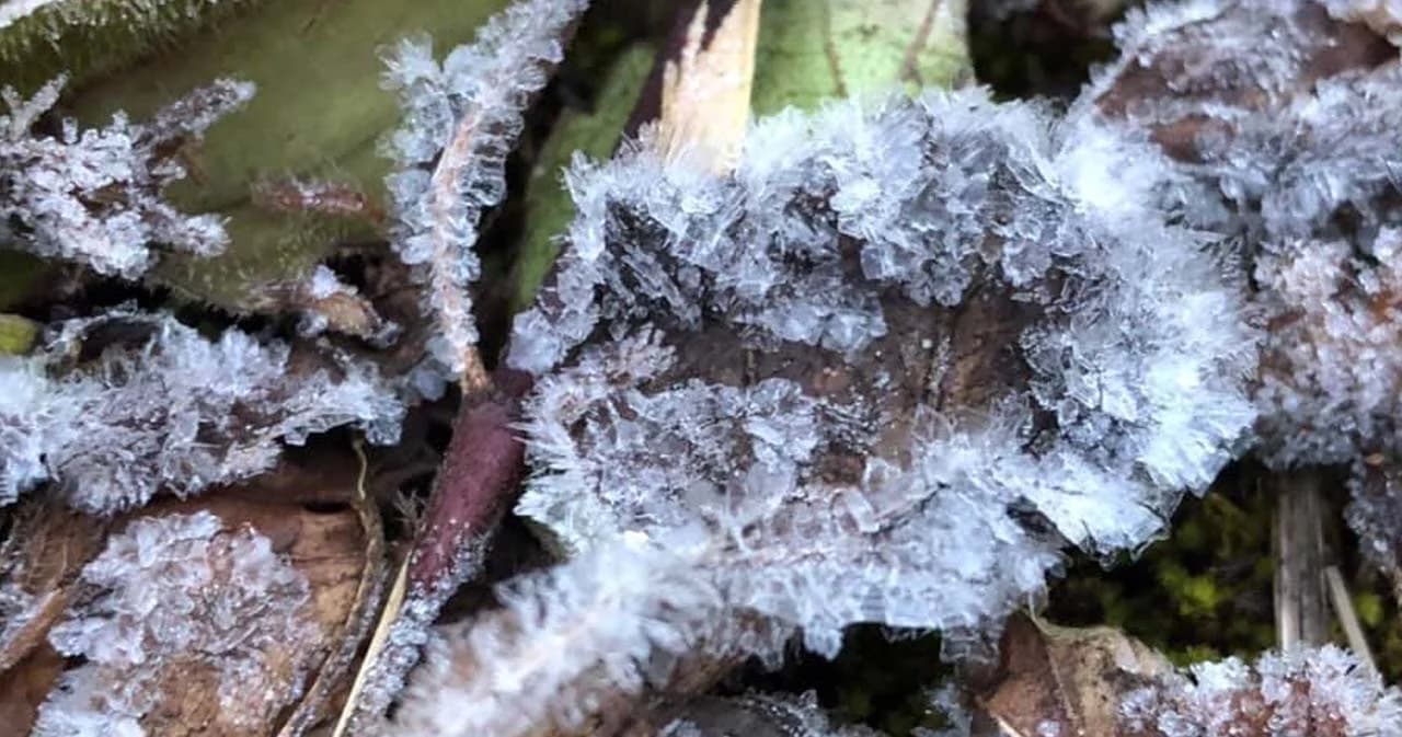 ‘เหมยขาบ’ ดอยอินทนนท์ อุณหภูมิต่ำสุด 4 องศาฯ