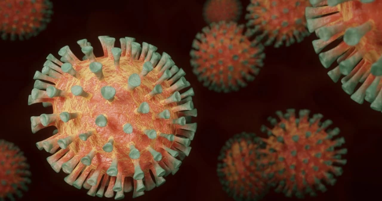 รู้จักโควิดสายพันธุ์ B.1.1.529 แพร่เชื้อไว อาจดื้อวัคซีน