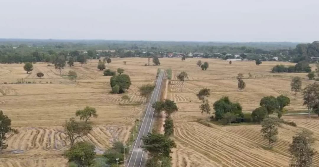 ยังไม่มีหน่วยงานใดแสดงตัว หลังชาวบ้านยโสธร ร้องพบ ถนน-เสาไฟโซลาร์เซลล์ โผล่กลางทุ่งนาและเป็นทางตัน