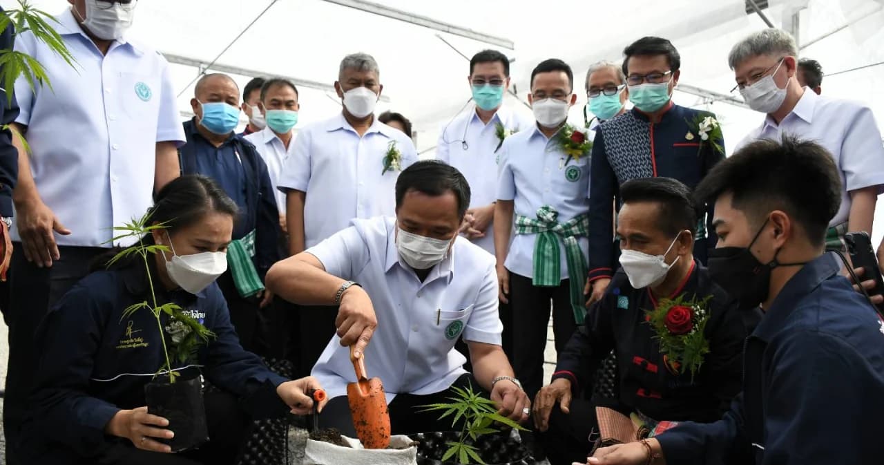 อนุทิน Kick Off ปลูกกัญชาริมฝั่งโขง เชื่อมโยงกัญชากับการท่องเที่ยว สร้างเศรษฐกิจท้องถิ่นมั่นคง