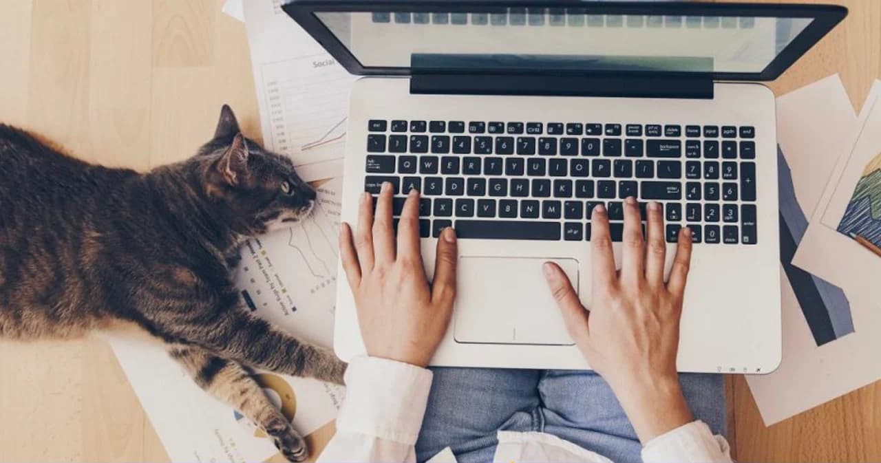 มท.สั่งด่วนทำงานแบบ WFH หลังปีใหม่ ช่วง 1 – 14 ม.ค. 65 สกัดโควิด