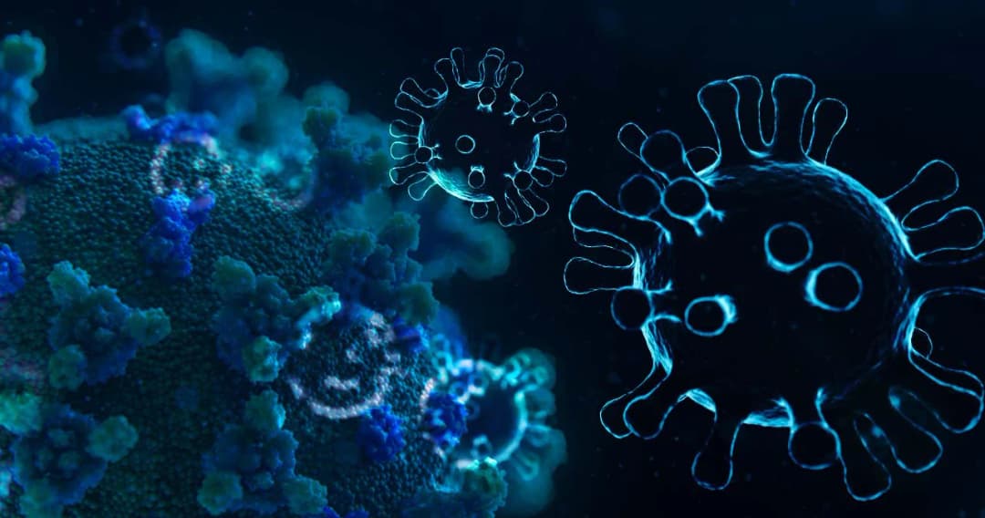 นพ.มนูญ ชี้ ทุกคนจะติด ‘โอไมครอน’ แต่อย่าตื่นตระหนก เพราะจะเกิดภูมิคุ้มกันหมู่