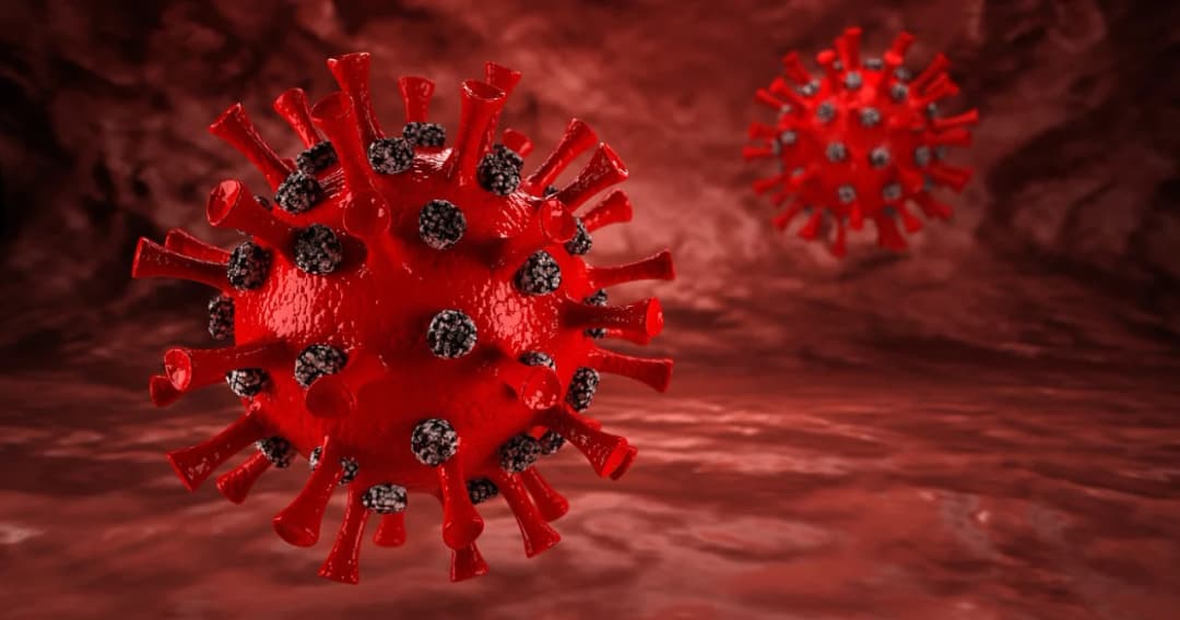 นักวิจัยไซปรัส พบโควิดสายพันธุ์ผสม ‘เดลตาครอน’ ที่ปรึกษาด้านการสื่อสาร ศบค. เผย ยังไม่มีข้อมูลความรุนแรง