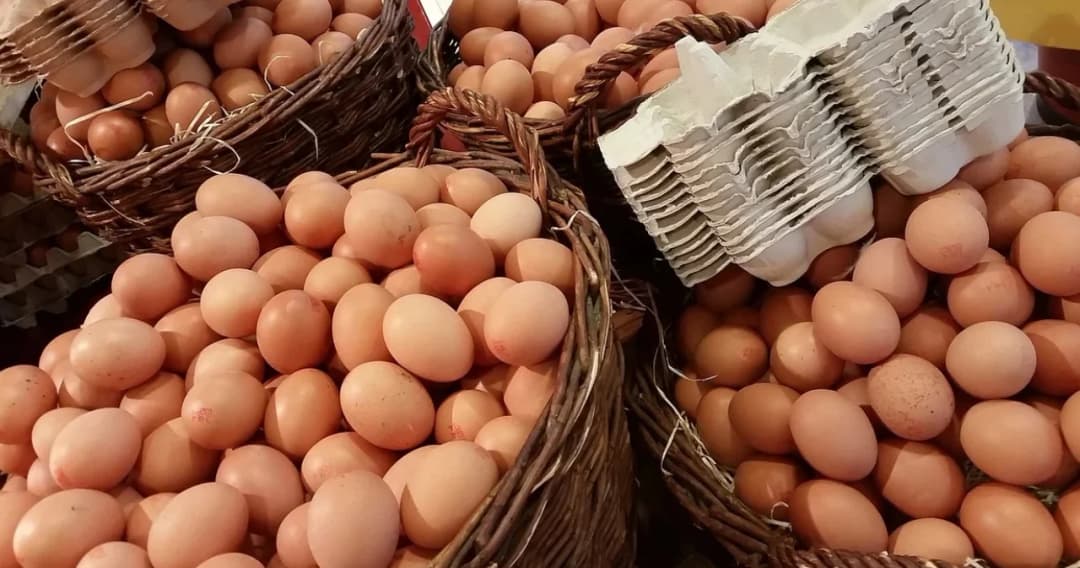 สมาคมผู้ค้าไข่ไก่ ออกประกาศ พรุ่งนี้ ( 10 ม.ค. 65 ) ไข่ไก่ปรับขึ้นราคา 6 บาท/แผง