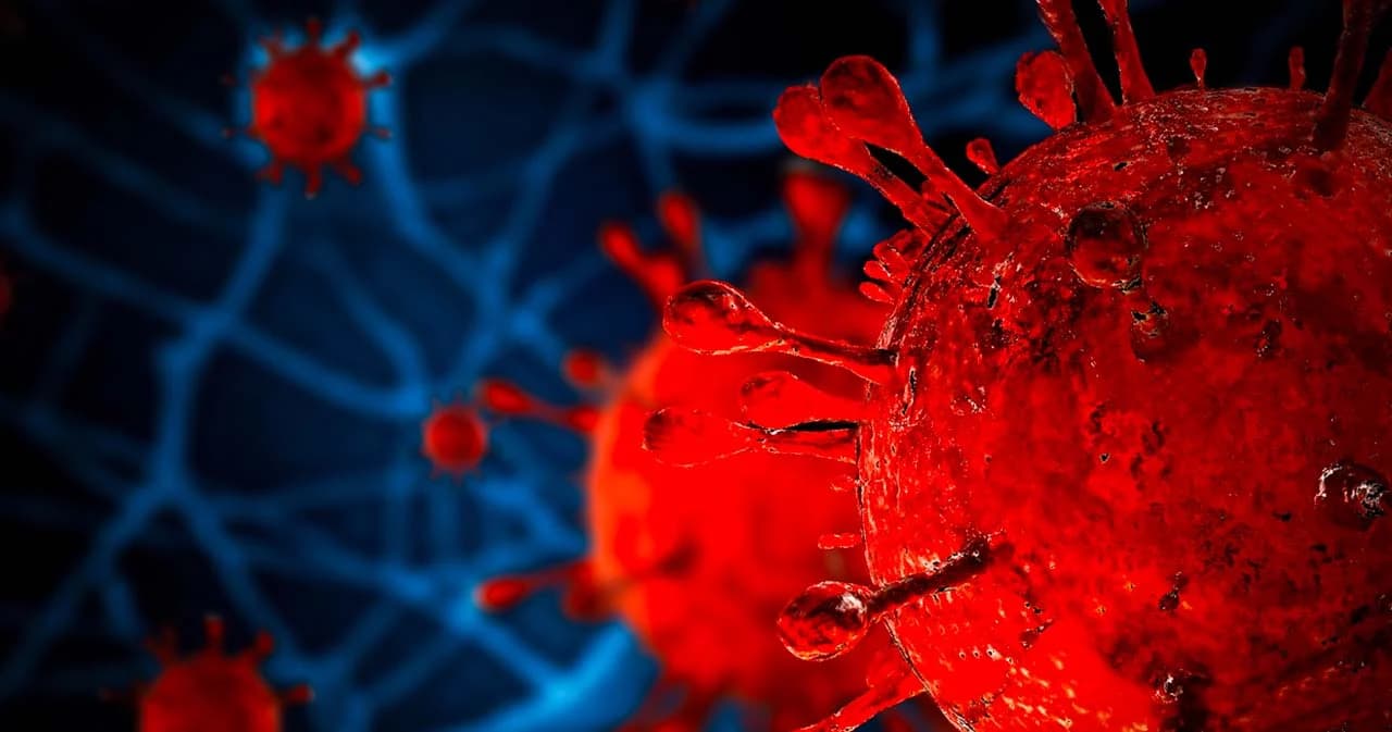 ศูนย์จีโนมฯ วิเคราะห์ ‘เดลตาครอน’ น่าจะไม่ใช่สายพันธุ์ลูกผสม อาจจะเป็นการปนเปื้อนในห้องปฏิบัติการ