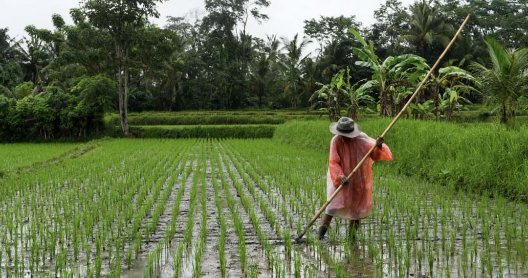 ส.ส.ขอนแก่น เพื่อไทย ซัดรัฐสอดไส้กฎกระทรวง เตรียมเก็บค่าใช้น้ำทำนากับชาวนา