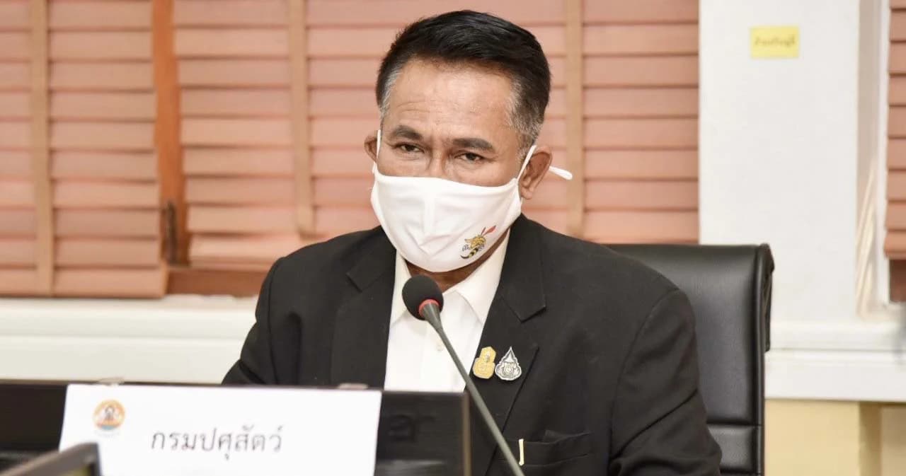 ‘อธิบดี’ สั่งปศุสัตว์ทั่วประเทศ ตั้งวอร์รูม-คุมโรค ASF เร่งเยียวยาเกษตรกรที่ต้องทำลายหมู