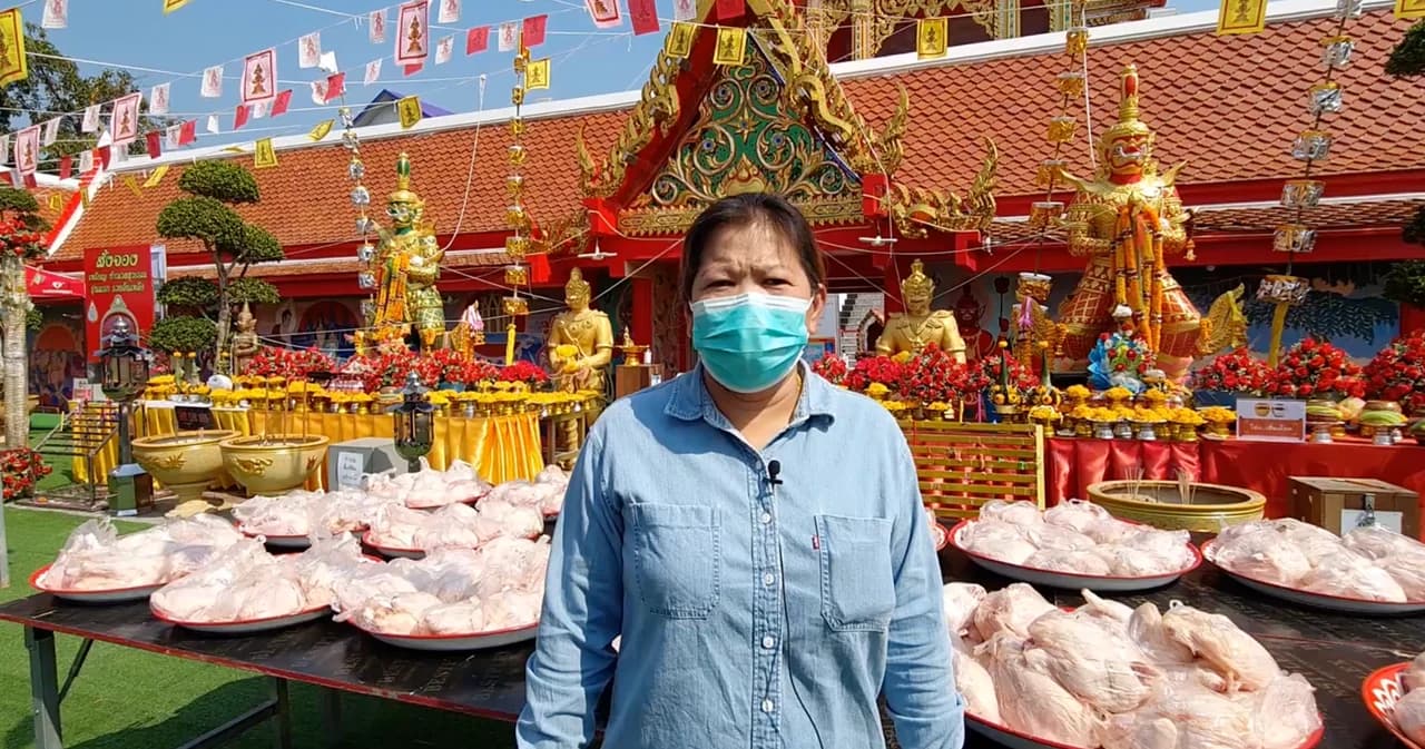 หมูแพงเป็นเหตุ ชาวสวนส้มโอ แม่กลองได้โชค 3 แสนซื้อไก่สดแก้บนแทนหัวหมู ก่อนแจกให้ชาวบ้าน