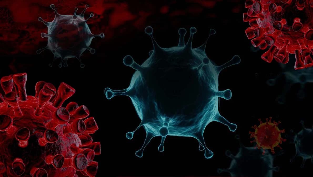 โควิด-19 กทม.มีแนวโน้มพบผู้ติดเชื้อเพิ่มขึ้น ย้ำป้องกันตนเองตามมาตรการต่อเนื่อง