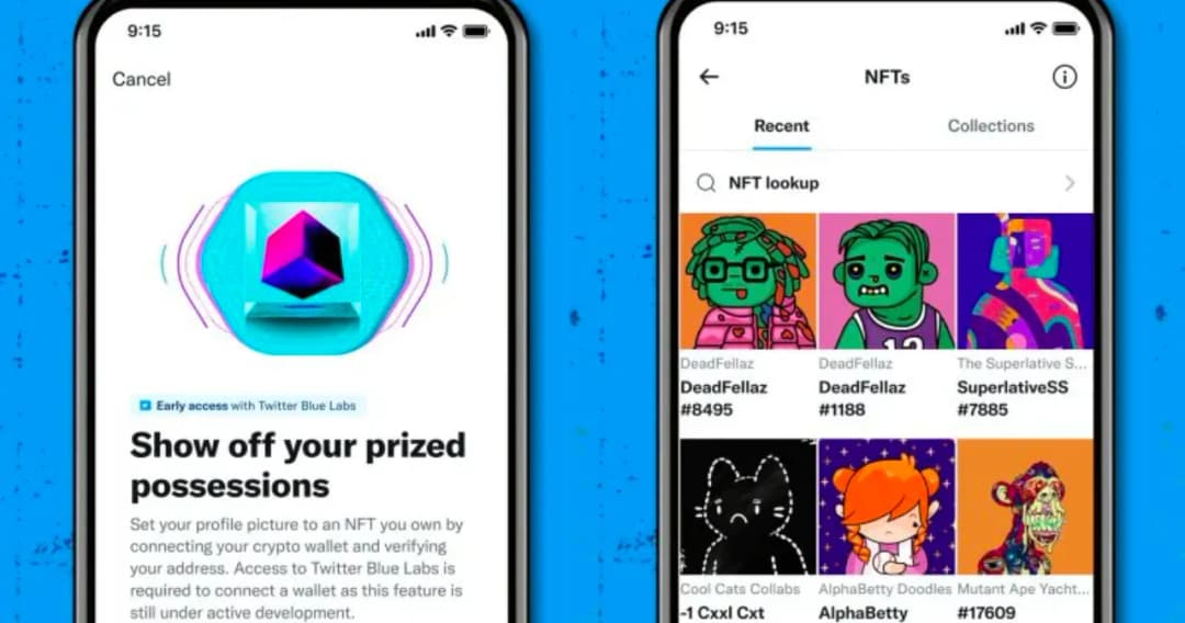 Twitter ปล่อยฟีเจอร์ใหม่ ให้ผู้ใช้งาน Twitter Blue ระบบ IOS นำรูป NFT มาทำเป็นรูปโปรไฟล์ได้