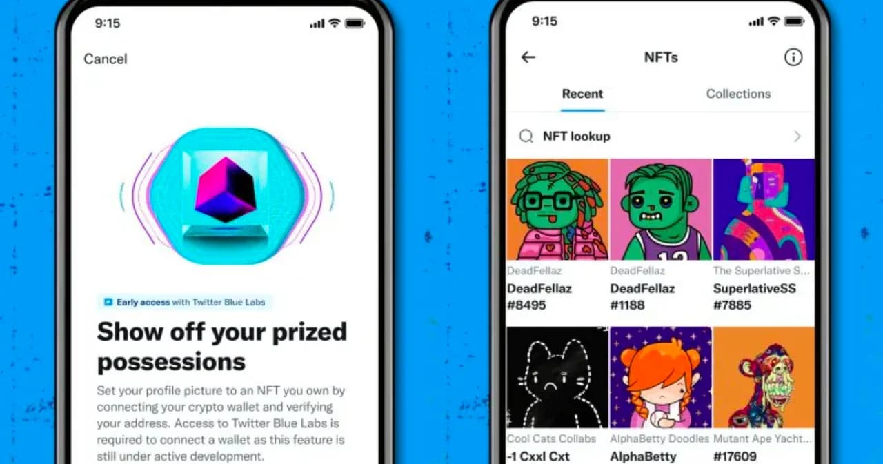 Twitter ปล่อยฟีเจอร์ใหม่ ให้ผู้ใช้งาน Twitter Blue ระบบ IOS นำรูป NFT มาทำเป็นรูปโปรไฟล์ได้