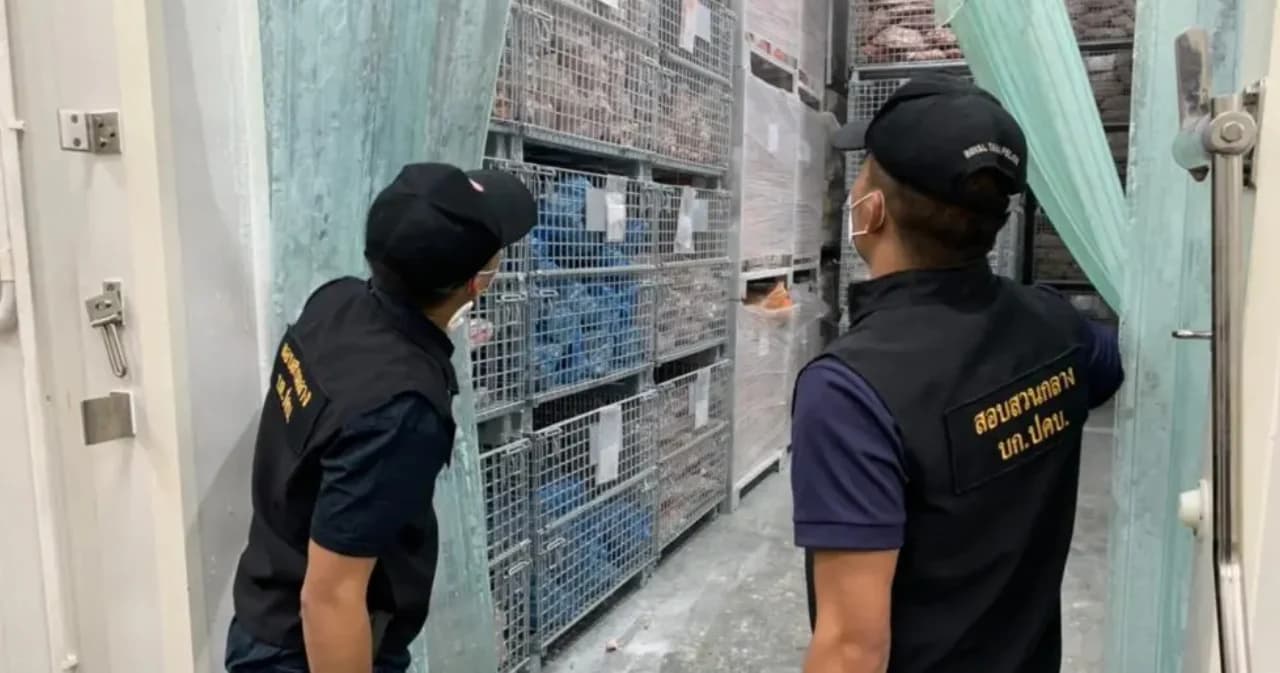 กรมปศุสัตว์ เจออีก 2 แห่งที่นครปฐม กักตุนเนื้อหมู กว่า 60,000 กิโลกรัม