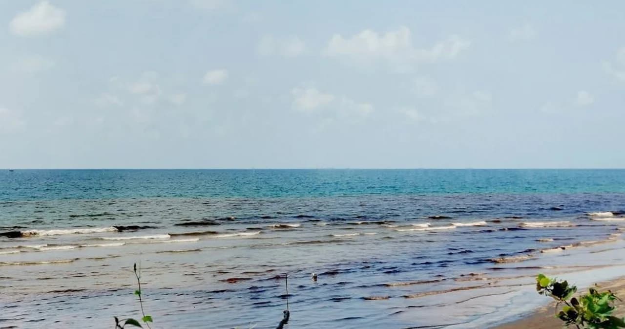 กรมอนามัย ลงพื้นที่น้ำมันรั่วทะเลระยอง ดูผลกระทบสุขภาพ-สิ่งแวดล้อม