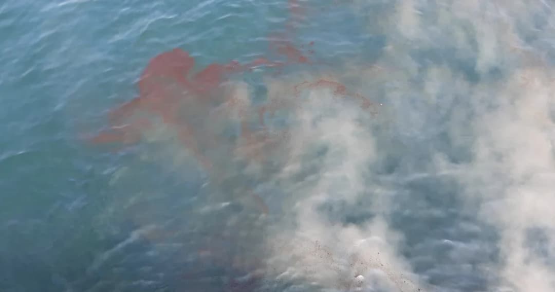 กรมเจ้าท่า เข้าร้องทุกข์ดำเนินคดีกับ SPRC  กรณีทำน้ำมันดับรั่วกลางทะเลระยองแล้ว