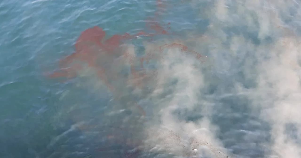 กรมเจ้าท่า เข้าร้องทุกข์ดำเนินคดีกับ SPRC กรณีทำน้ำมันดับรั่วกลางทะเลระยองแล้ว