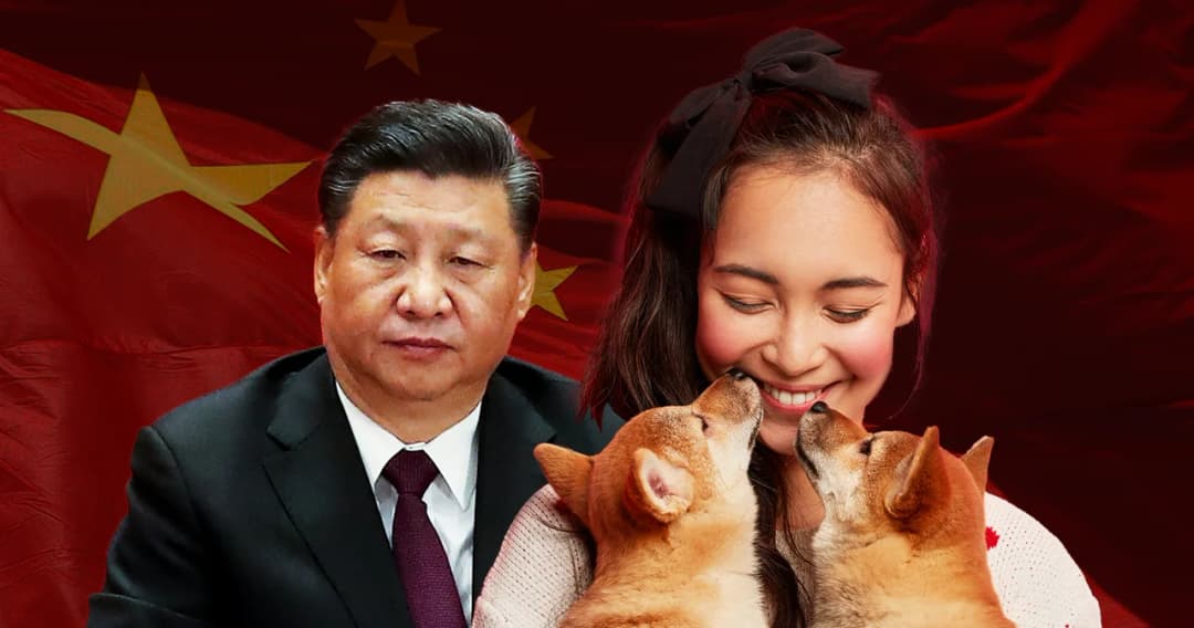 กรณีศึกษา รัฐบาลจีนกระตุ้น ‘มีลูก’ ไม่ได้ผล คนรุ่นใหม่หันเลี้ยง ‘หมาแมว’ แทน