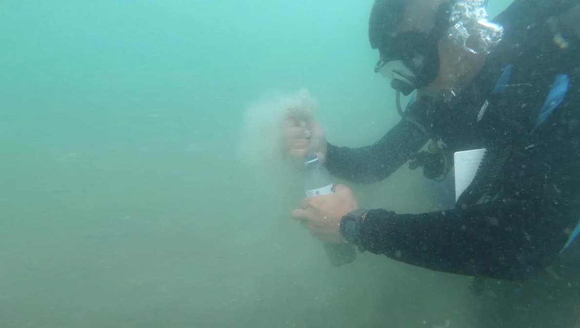 กำจัดคราบน้ำมันชายหาดระยองสำเร็จแล้ว พร้อมตั้ง คกก. 3 ฝ่ายประเมินสถานการณ์ก่อนปิดศูนย์ขจัดคราบน้ำมัน