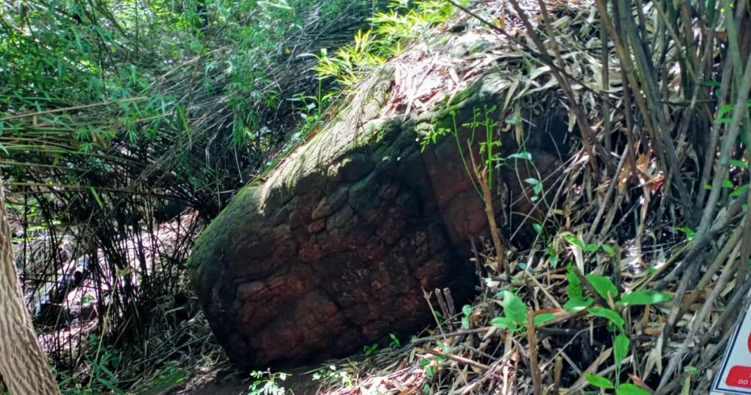 นักท่องเที่ยวแห่ชม ‘ถ้ำนาคา’ ลงมาไม่ทันค่ำติดค้างบนเขา